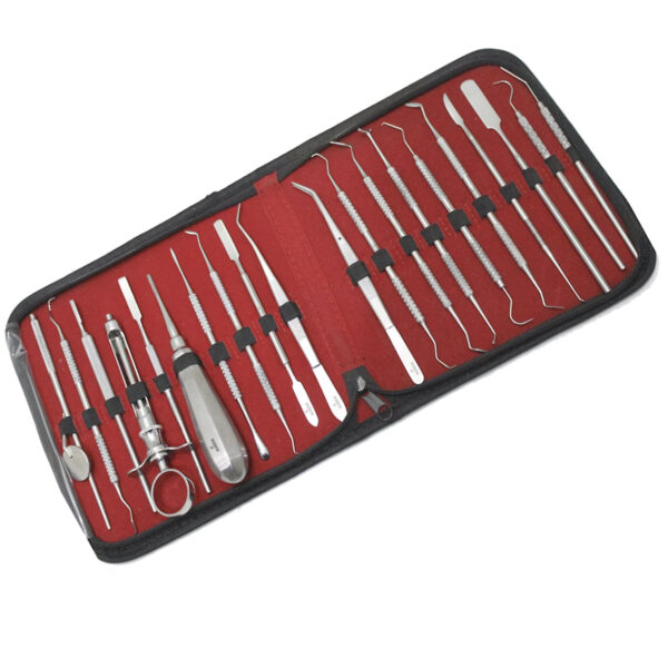 20pcs Dental Kit Basic Oral Care Tools Set Teeth Whitening Scaler, Probe Spatula - Image 2