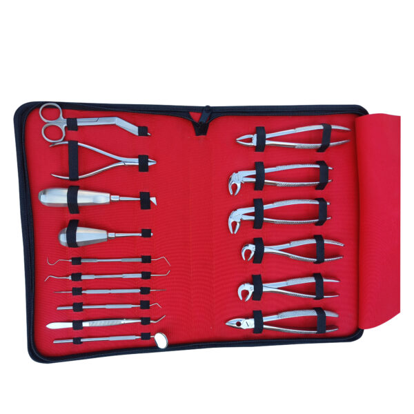 Surgical Dental Instruments 16Pcs Oral Dental Surgery Extracting Elevators Force - Image 2