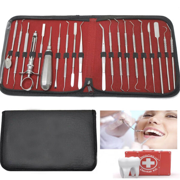 20pcs Dental Kit Basic Oral Care Tools Set Teeth Whitening Scaler, Probe Spatula