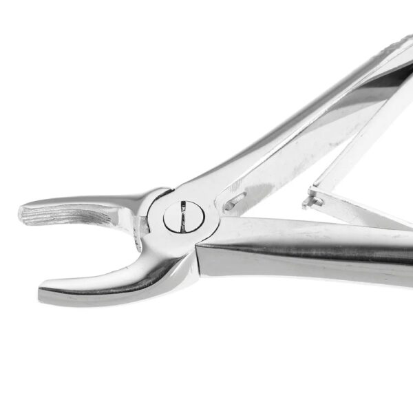 Dental Forceps Children's Tooth Extraction forceps Plier Kit Orthodontic Dental - Image 3
