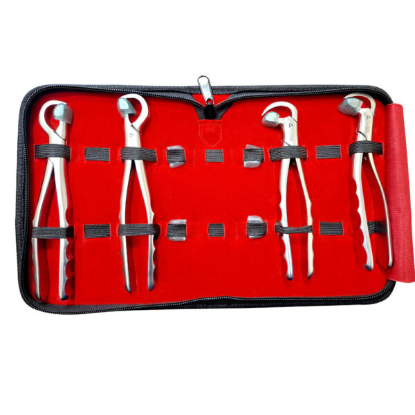 Dental Extraction Physics Forceps Standard Series Set of 4 Pcs Premium Quality